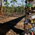 Corporate Giants Challenge EU's Anti-Deforestation Law Delay, Citing Preparedness and Credibility Co - Professional coverage