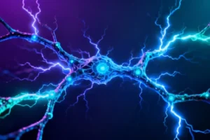 How Neural Architecture Choices Shape Artificial Intelligence's Problem-Solving Pathways - Professional coverage