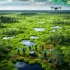 Global Research Initiative Uses Smartphone Tech to Monitor Vital Peatland Ecosystems