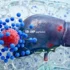 New Albumin-Based mRNA Vaccine Technology Shows Promise for Safer, More Effective Immunizations