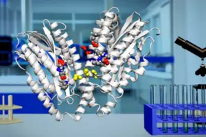 Breakthrough in Drug Transport Understanding Reveals New Pos - According to Nature, researchers have determined the first hig