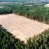The AI Data Center Boom Could Cost You Big Time