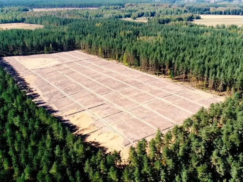 The AI Data Center Boom Could Cost You Big Time - Professional coverage